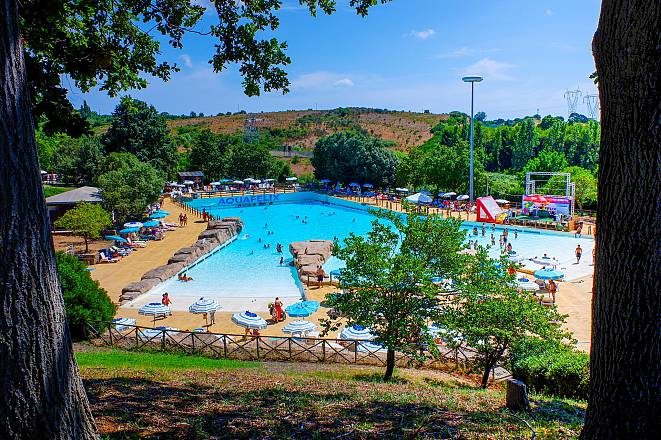 Splash e sorrisi. a civitavecchia il parco aquafelix inaugura la stagione con la campagna pet camper tour e l'arrivo di bluey, protagonista della serie animata